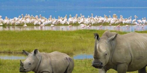 Lake Nakuru