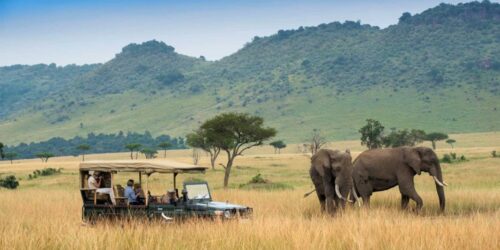 Masai Mara National Reserve 1