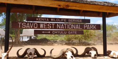 Tsavo West National Park