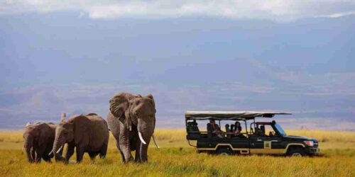 Amboseli Tortilis Camp   Amboseli National Park  Adeli Kenya Safaris   best Africa sustainable safari tour company in Kenya.