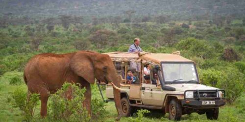 Elephant Bedroom Camp   Samburu   Adeli Kenya Safaris   best Africa sustainable safari tour company in Kenya