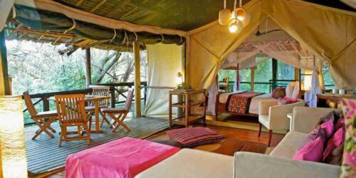 Samburu Intrepids Camp  Adeli Kenya Safaris   best Africa sustainable safari tour company in Kenya