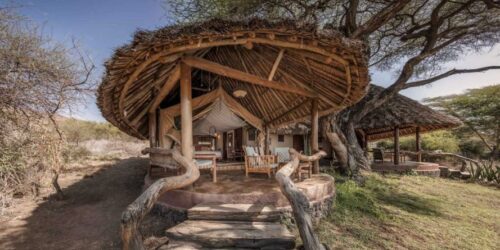 10 Days Kenya Luxury Sky Air safari Exploring Amboseli Laikipia Masai Mara